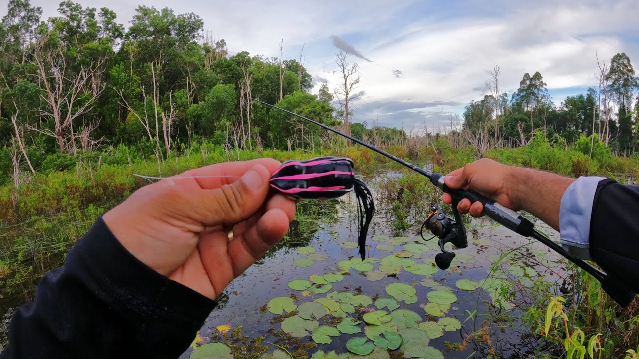 Pescaria com Frog no ultralight - Testei a isca MONSTER FROG da Matadeira!!