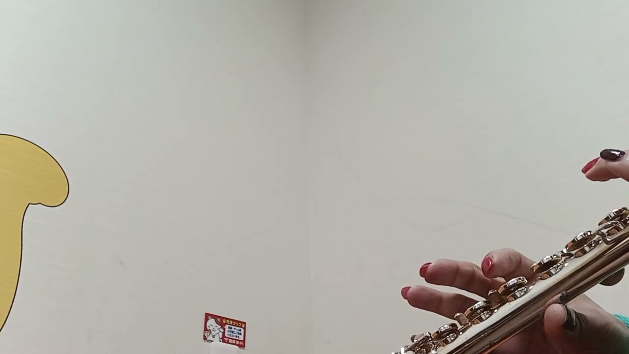 涙そうそう　夏川りみ　ハープ伴奏　フルートで吹いてみました。