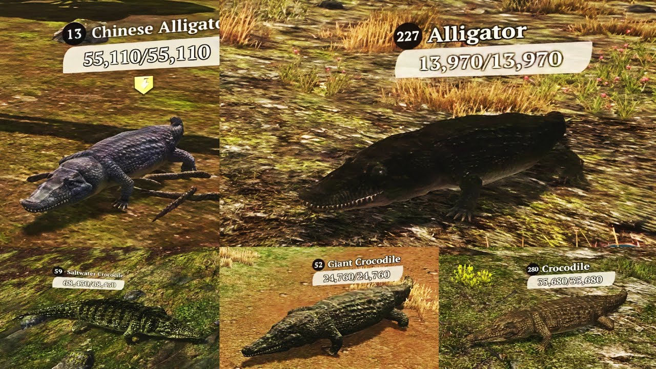 The Wolf - Chinese Alligator vs Alligator vs Saltwater Crocodile vs Giant Crocodile vs Crocodile 🏆