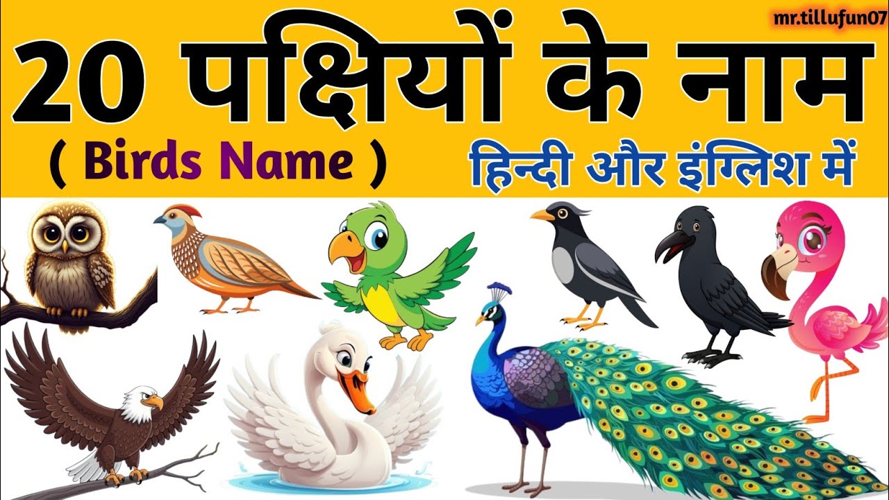 25 Birds Name in English and Hindi | पक्षियों के नाम | Birds Name for kids | Learn Birds with Fun! 🐥