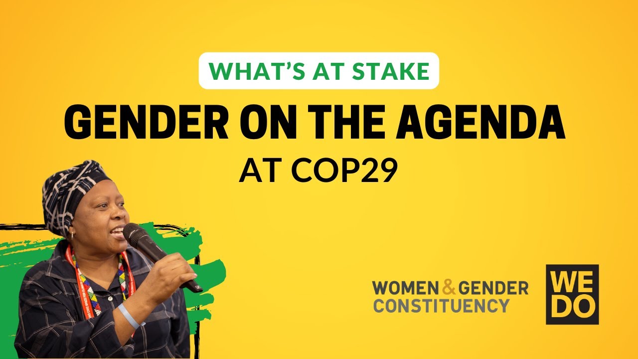 WHAT'S AT STAKE | Gender on the Agenda at COP29