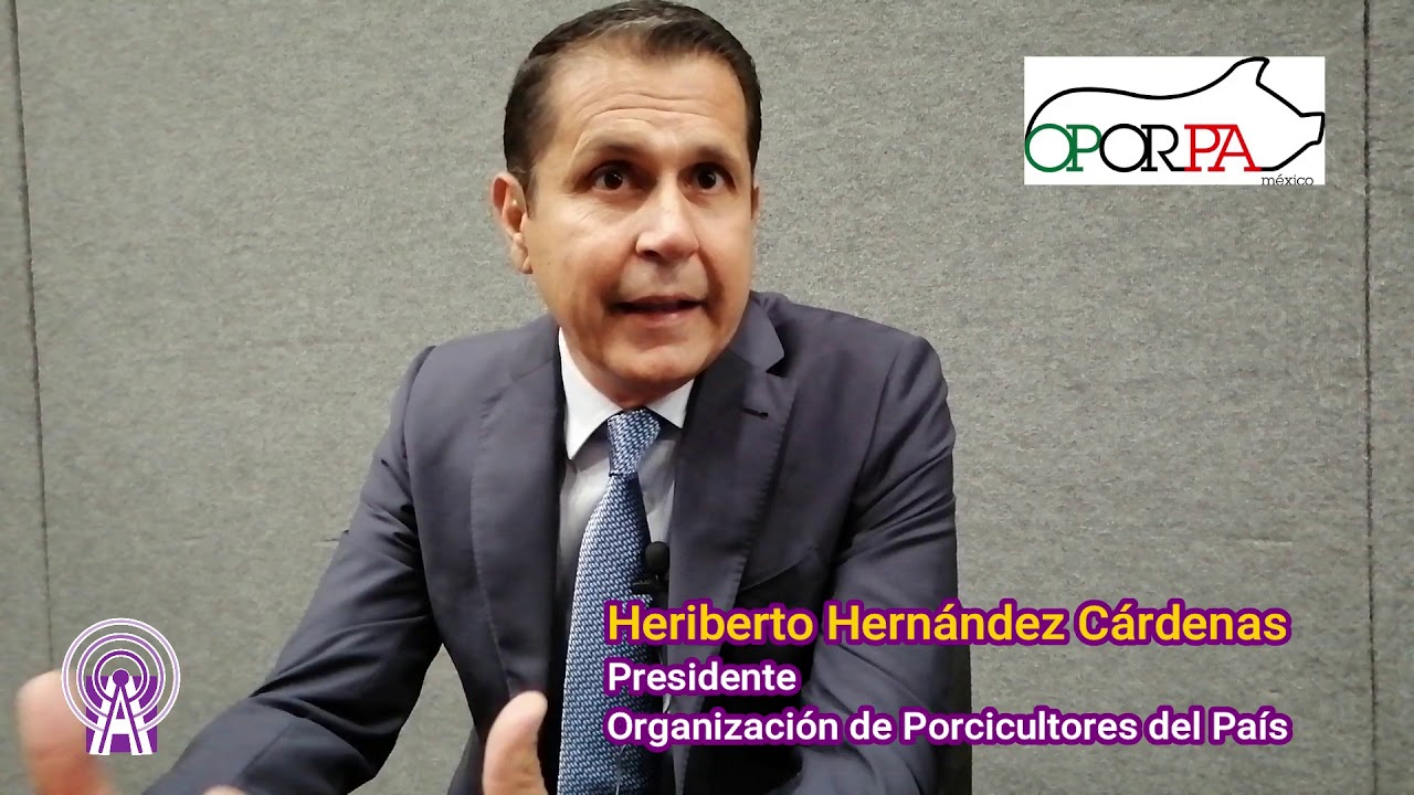 OPORPA  prioriza las sinergias y la capacitación para el fortalecimiento de la porcicultura