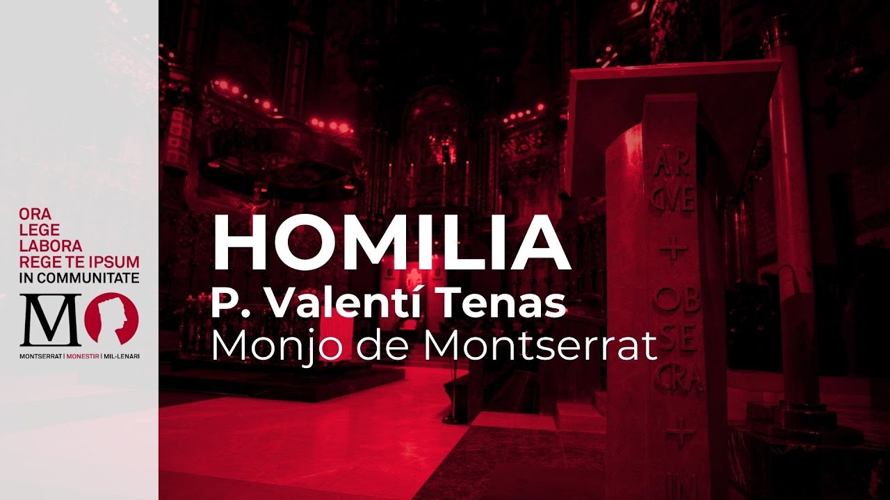 Homilia del diumenge V de durant l'any (8 febrer 2026)