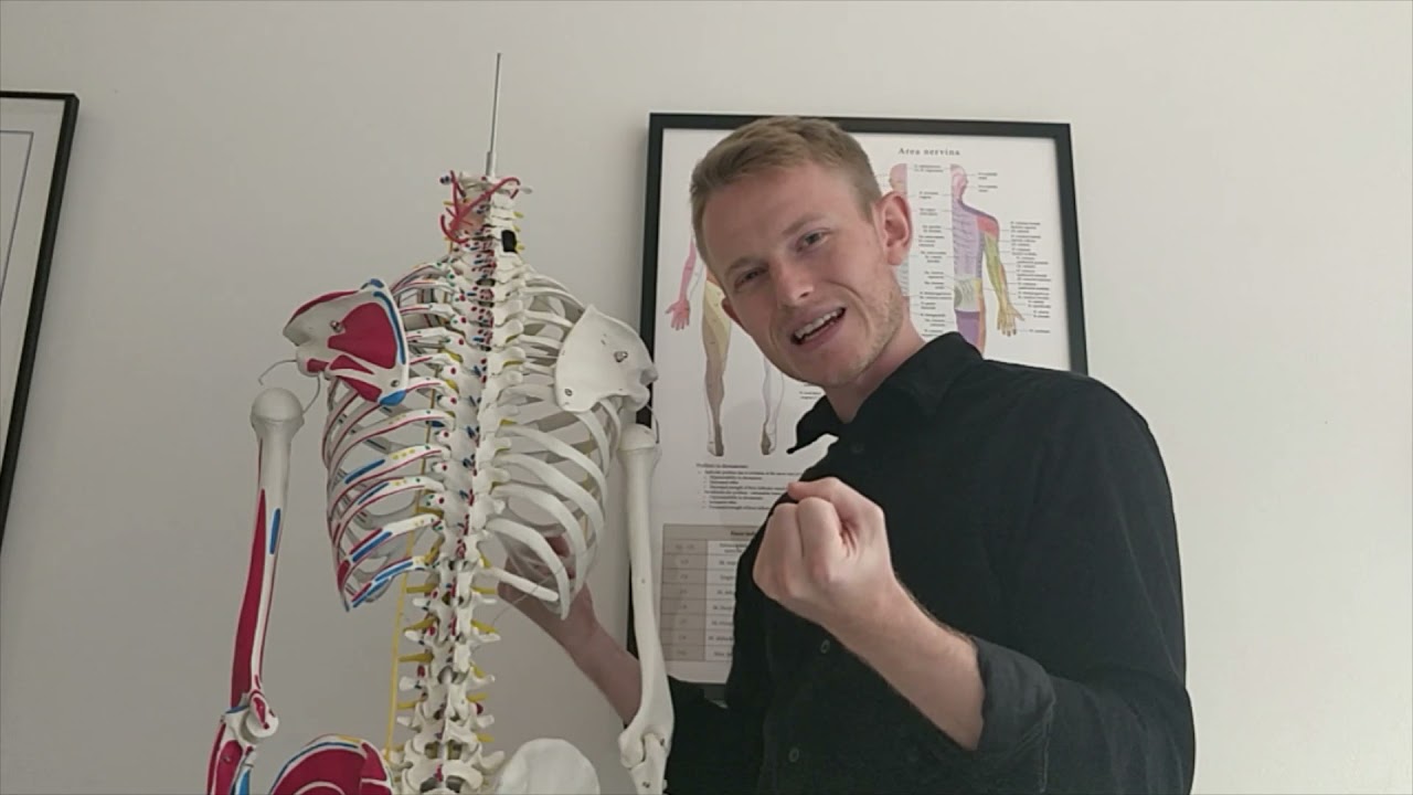 Kroppen hænger sammen - Bækken og forstoppelse - lænden og mave tarm - osteopati - fysioterapi