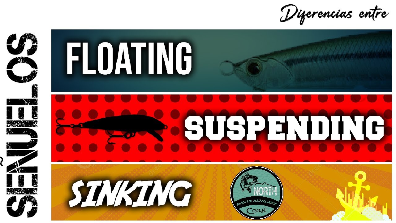 3 TIPOS de SEÑUELOS DUROS 👉Floating Sinking Suspending👉pesca a spinning