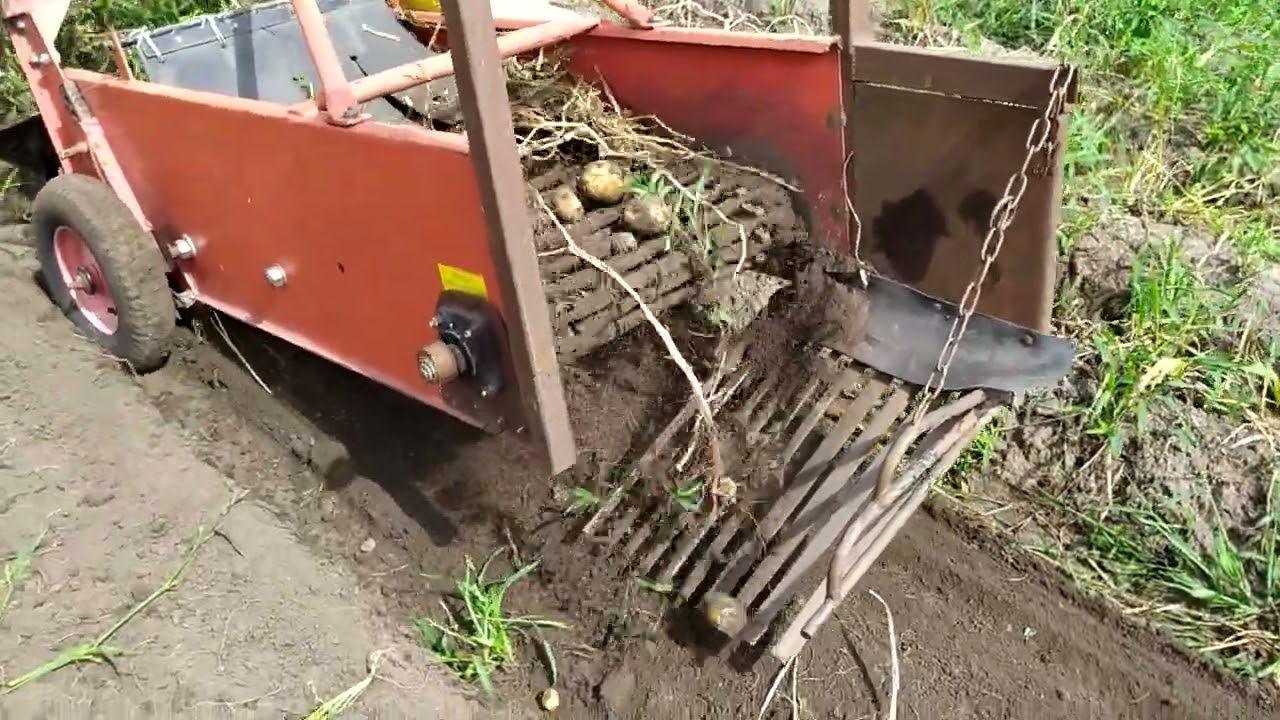 Однорядна картоплекопалка, робота на забурянененому полі, грунт пісок, за два дні до зйомки йшов дощ