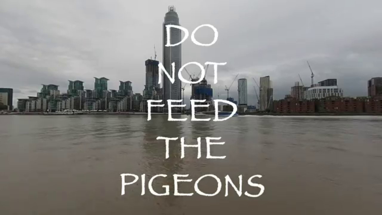 Do Not Feed The Pigeons - VR180 3D