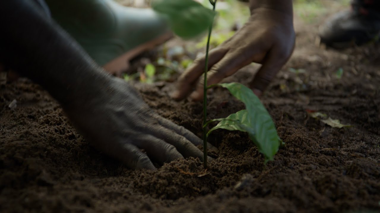 Rolex Awards – Inza Koné – Ep. 3: Back to the Roots
