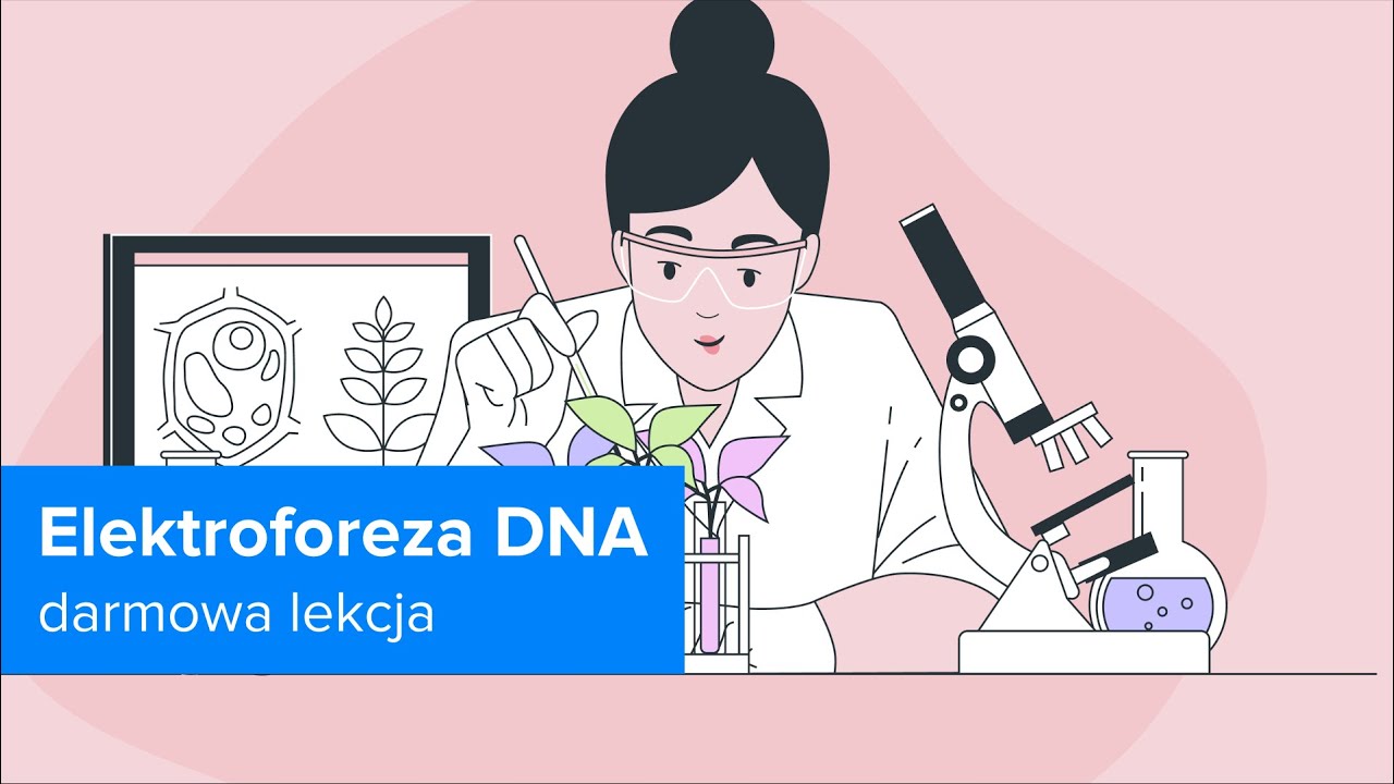 Korepetycje z Biologii - Genetyka i Biotechnologia | Elektroforeza DNA | ▶strefakursow.pl◀