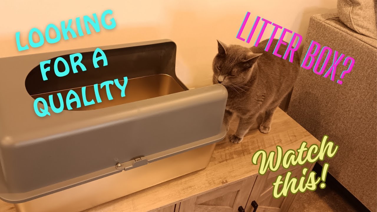 High-Sided Stainless Steel Cat Litter Box Review: The Ultimate Clean & Durable Solution