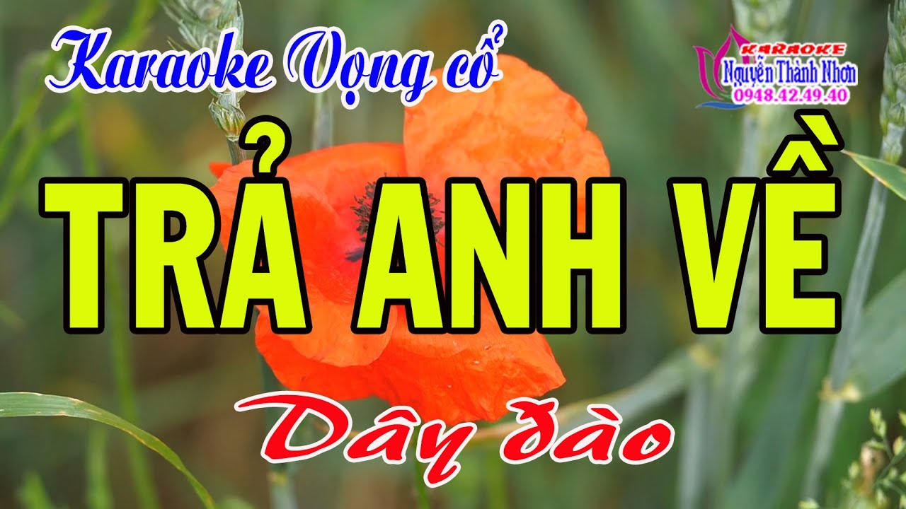 Karaoke vọng cổ TRẢ ANH VỀ - DÂY ĐÀO [Beat mới]