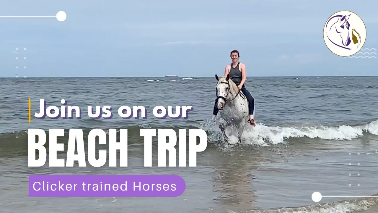 Присоединяйтесь к нашей поездке на пляж! 🐎🏖 Лошади, обученные кликеру