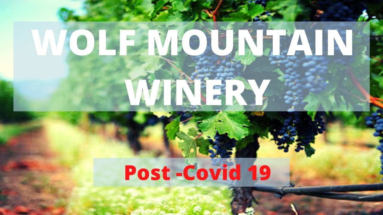 Wolf Mountain 🍷|| Dahlonega, GA  || Wine Tour & Review || Top 3 (Part 1)