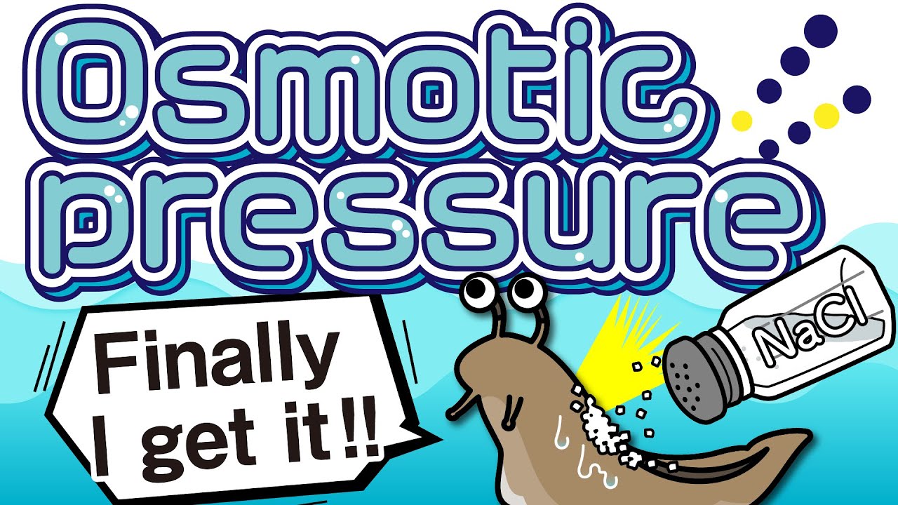 Absolutely understand Osmotic pressure !