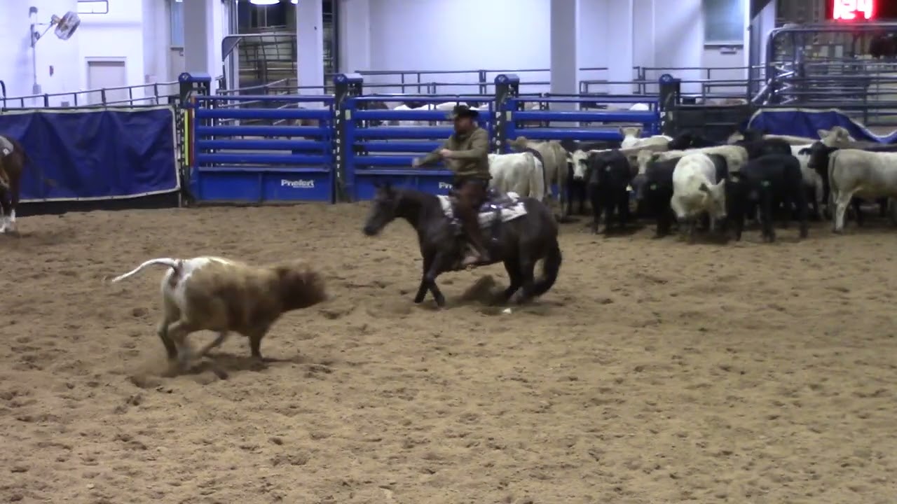 Jan 17 2026  - Bell County CHA - 5K Ltd NH - LOVE STRUCK BABIE - Trent Bell - Score 0