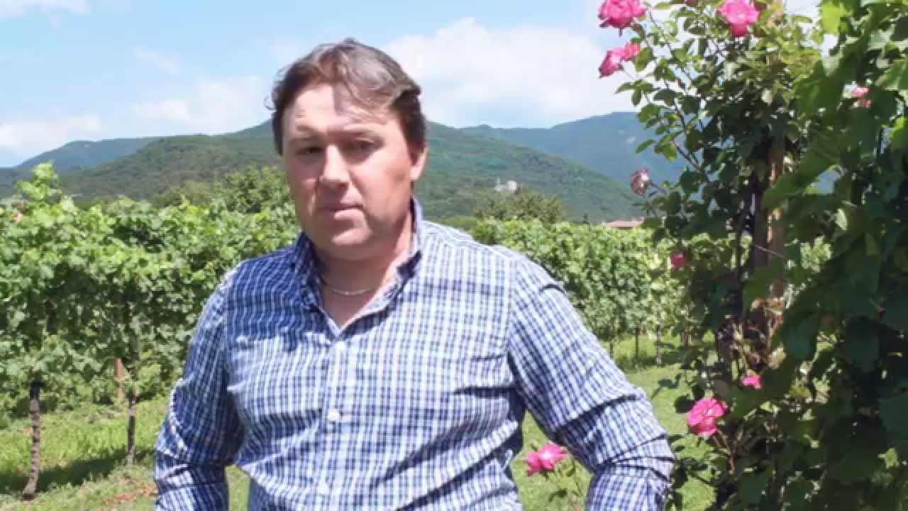 Azienda Agricola Celledoni