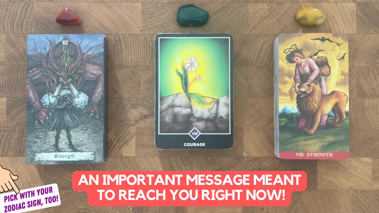 An Important Message Meant To Reach You Right Now! | Timeless Reading