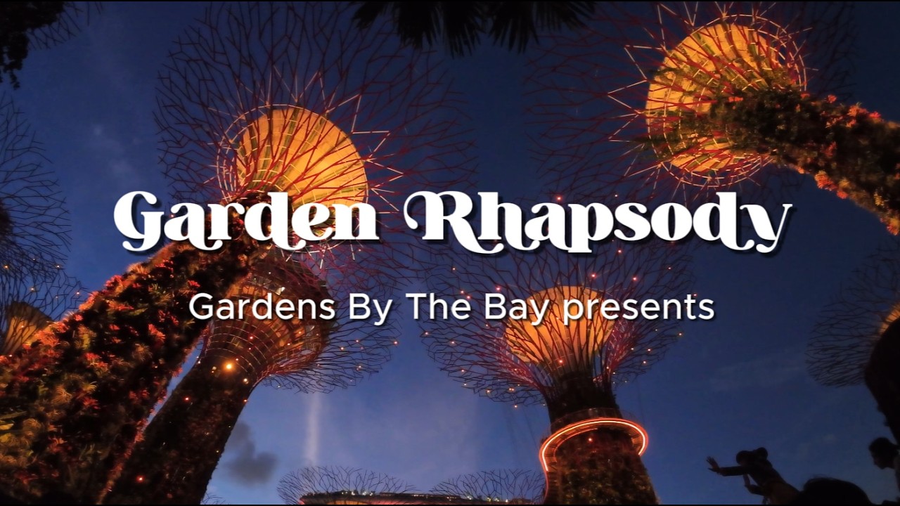 Gardens By The Bay Full HD Light Show At Night (in Singapore)