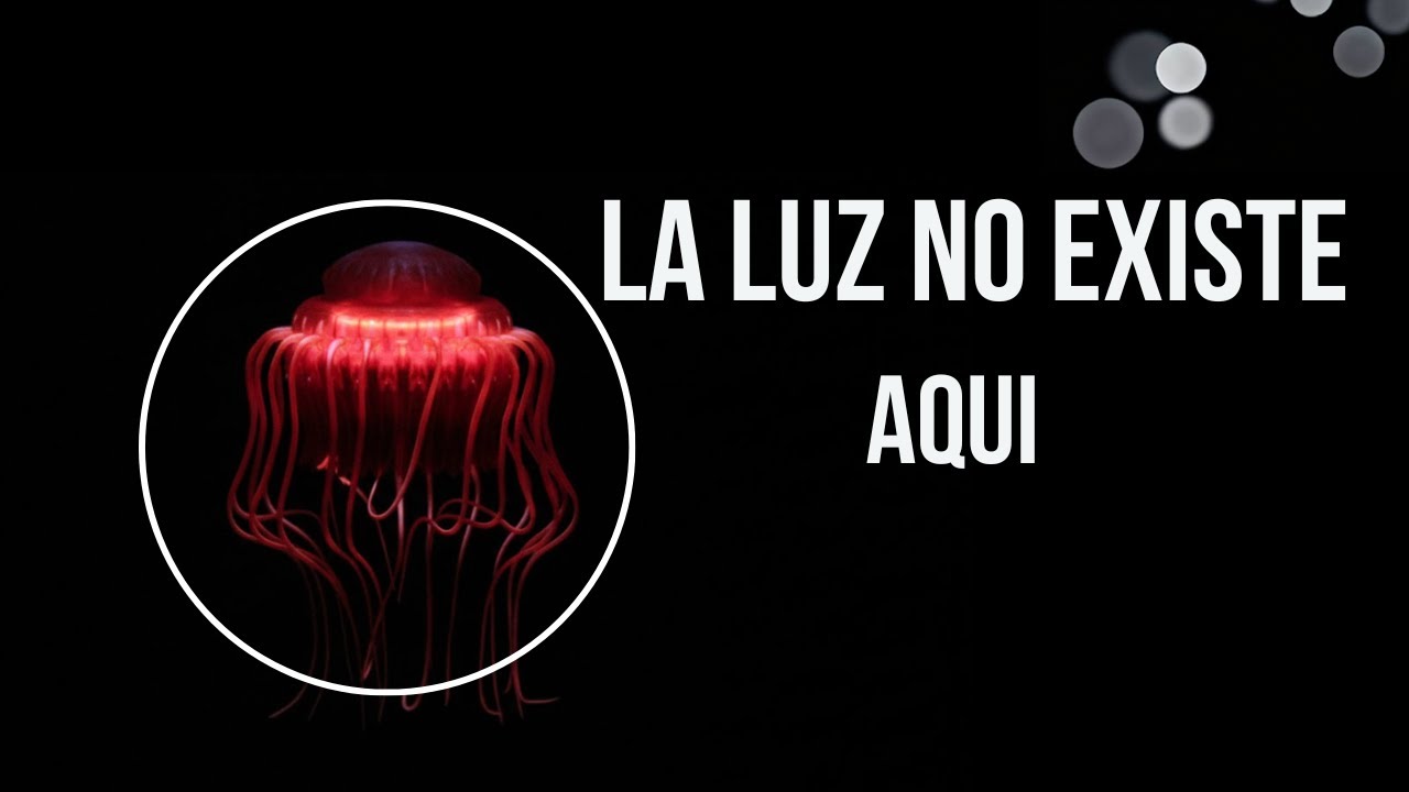 La Señal Luminosa Real Captada en el Océano Profundo