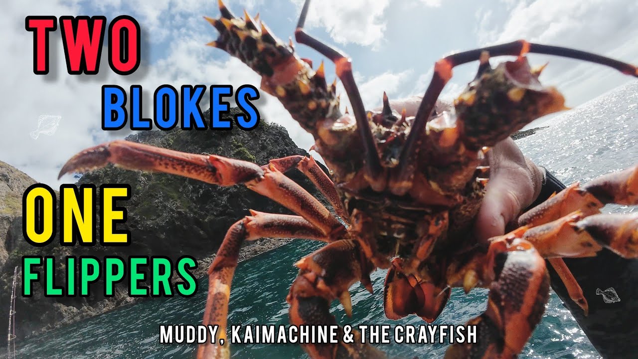 Two Blokes One Flippers [версия для ловли раков] с Kaimachine