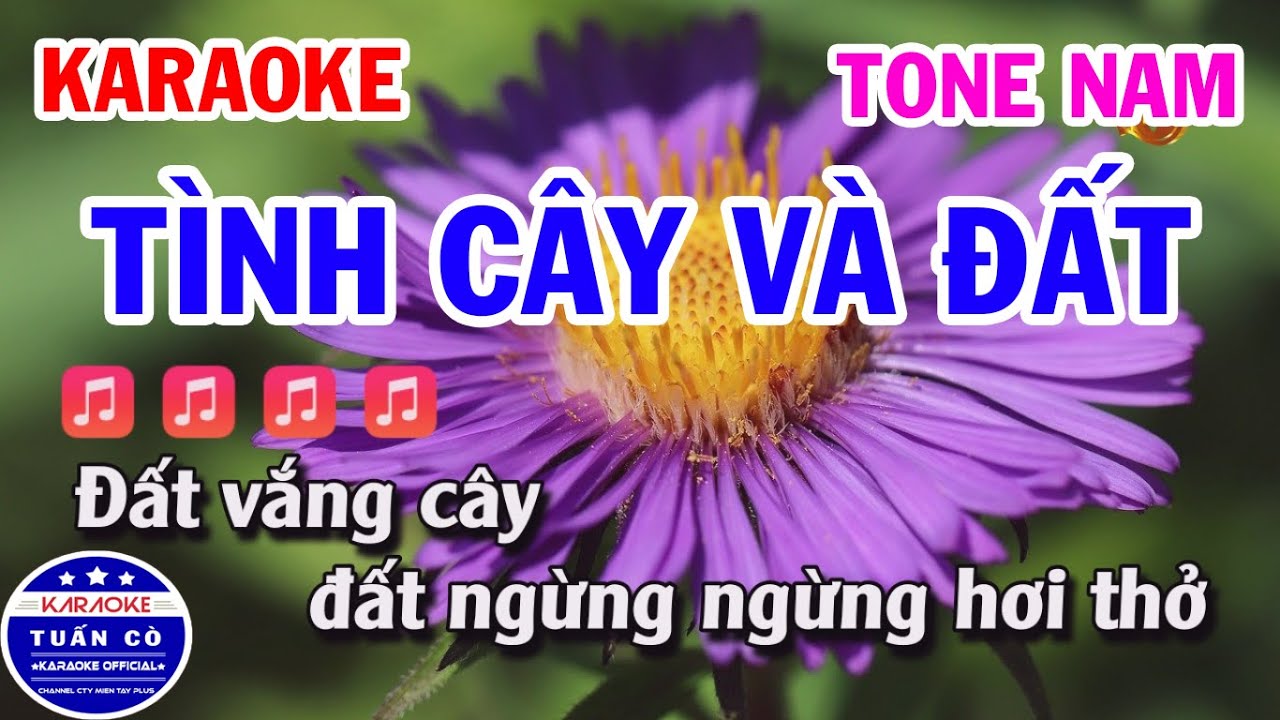 Karaoke Tình Cây Và Đất Tone Nam Nhạc Sống