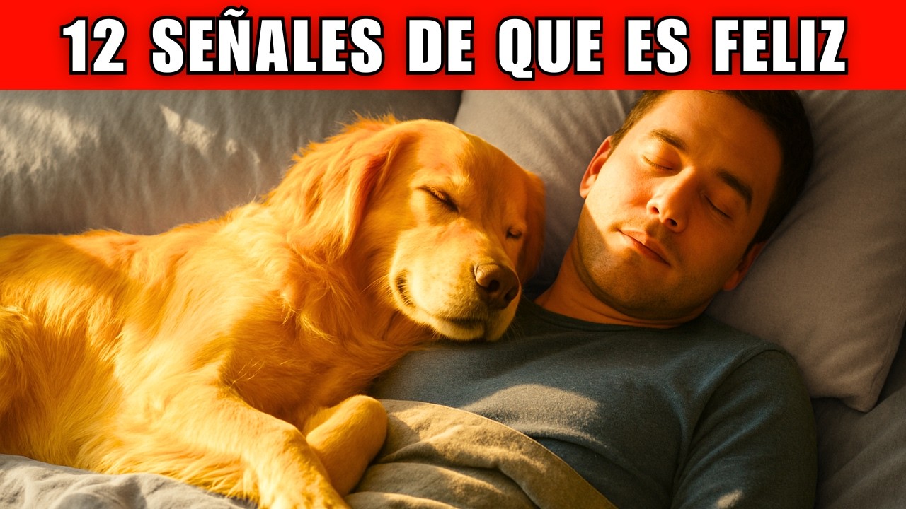 12 señales de que tu perro está muy FELIZ y SALUDABLE