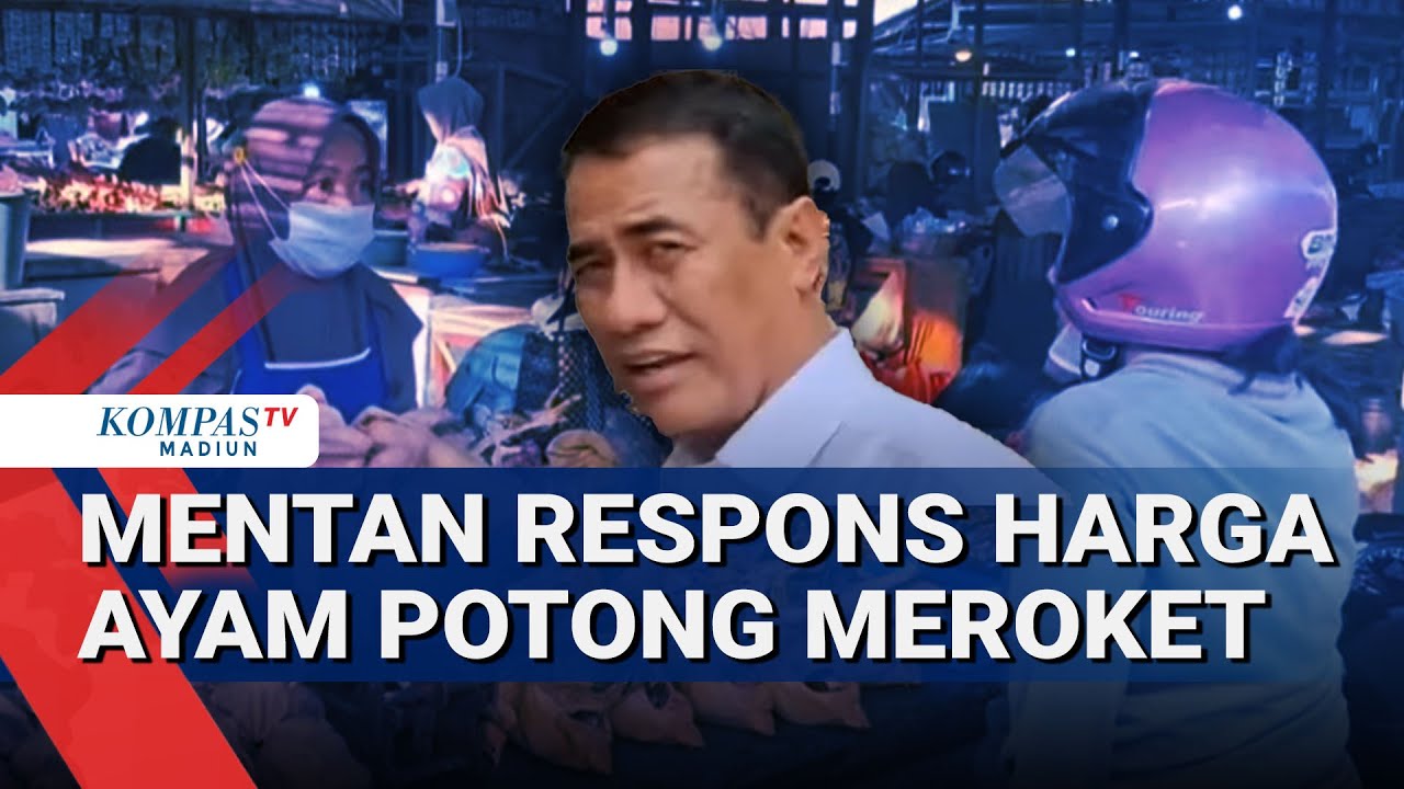 Harga Ayam Potong Tembus Rp48 Ribu per Kg, Mentan: Sebentar Lagi Stabil