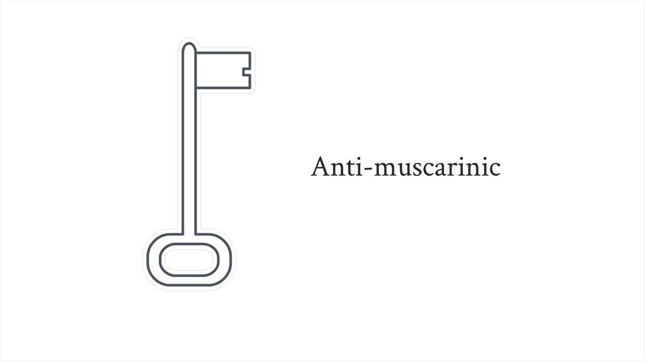 Pharmacology - antiemetics