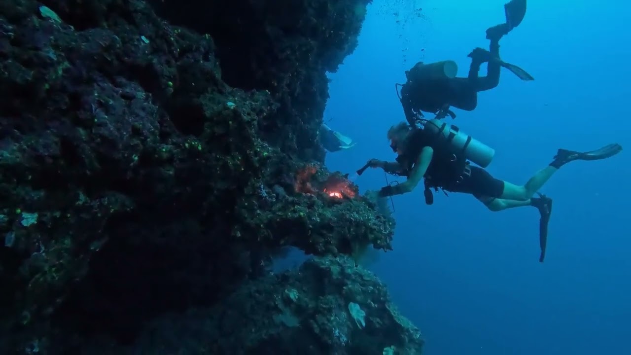 Djaul Reef, MV FeBrina, PNG