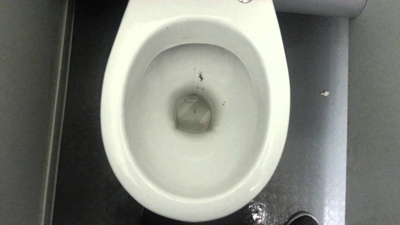 Toilet in Grovsnor gardens