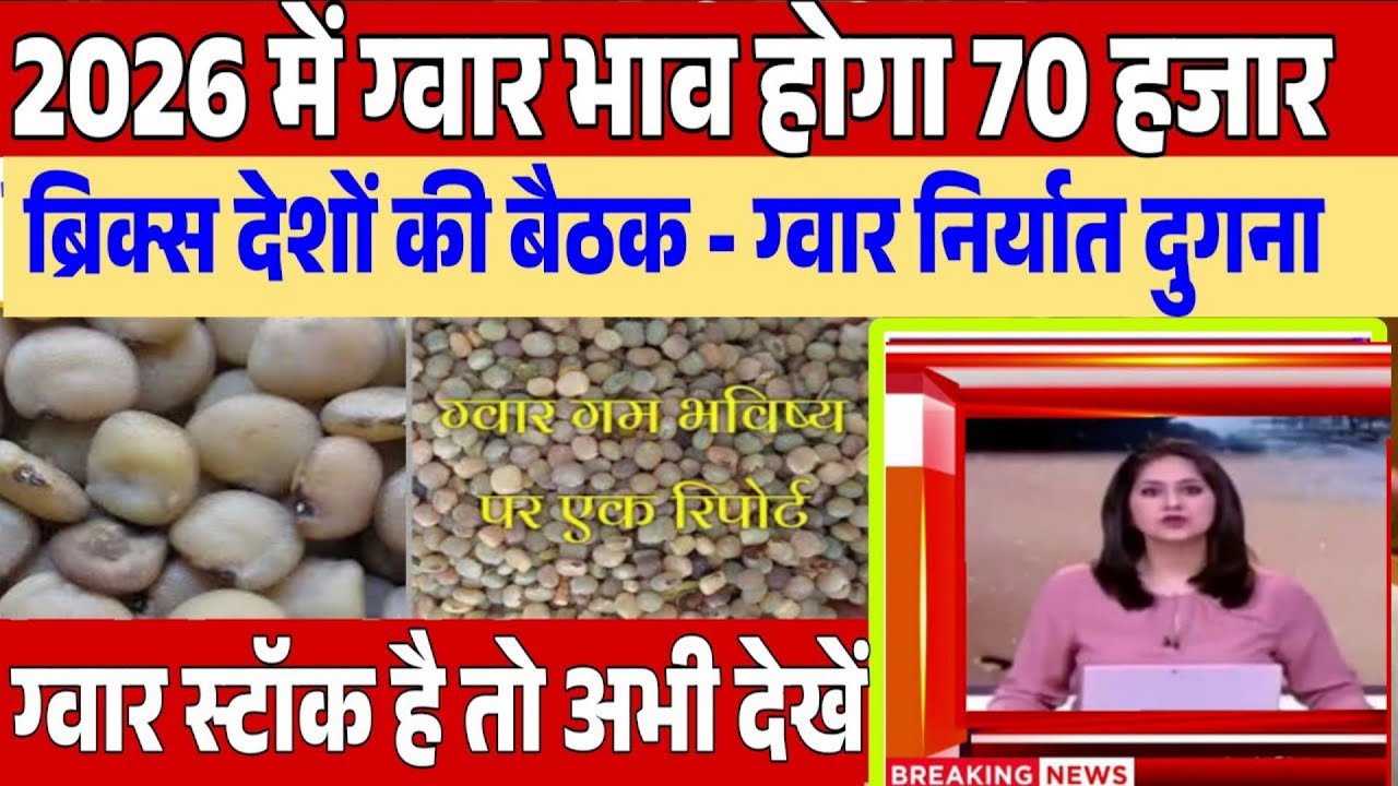 ग्वार का अचानक पलटा बाजार / दोपहर तक के ताजा मंडी भाव gwar price today, gawar rate