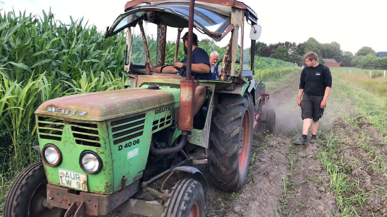 Deutz D 4006 in der Kartoffelernte I Wühlmaus T3