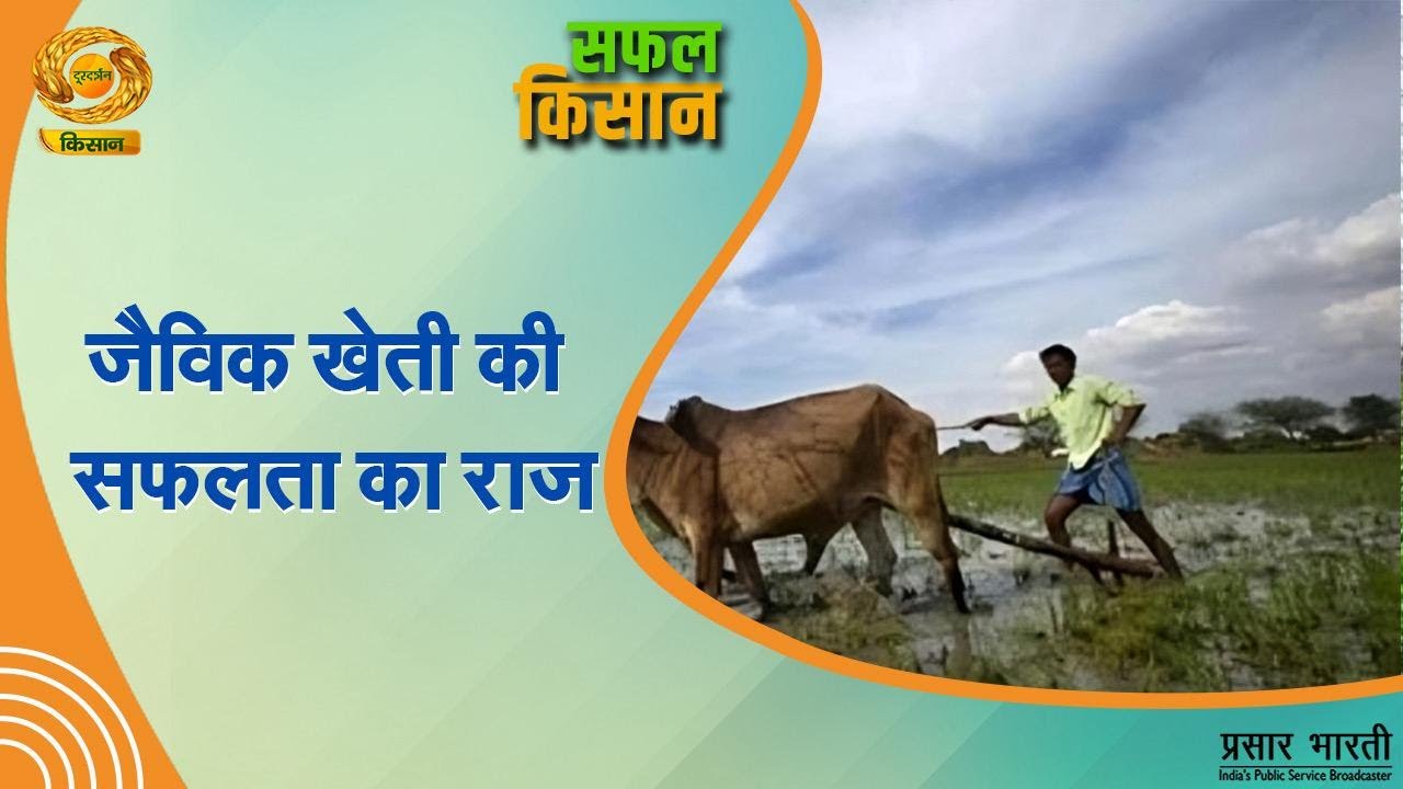 Safal Kisan | सफल किसान- जैविक खेती की सफलता का राज  DD Kisan | 27/01/2026