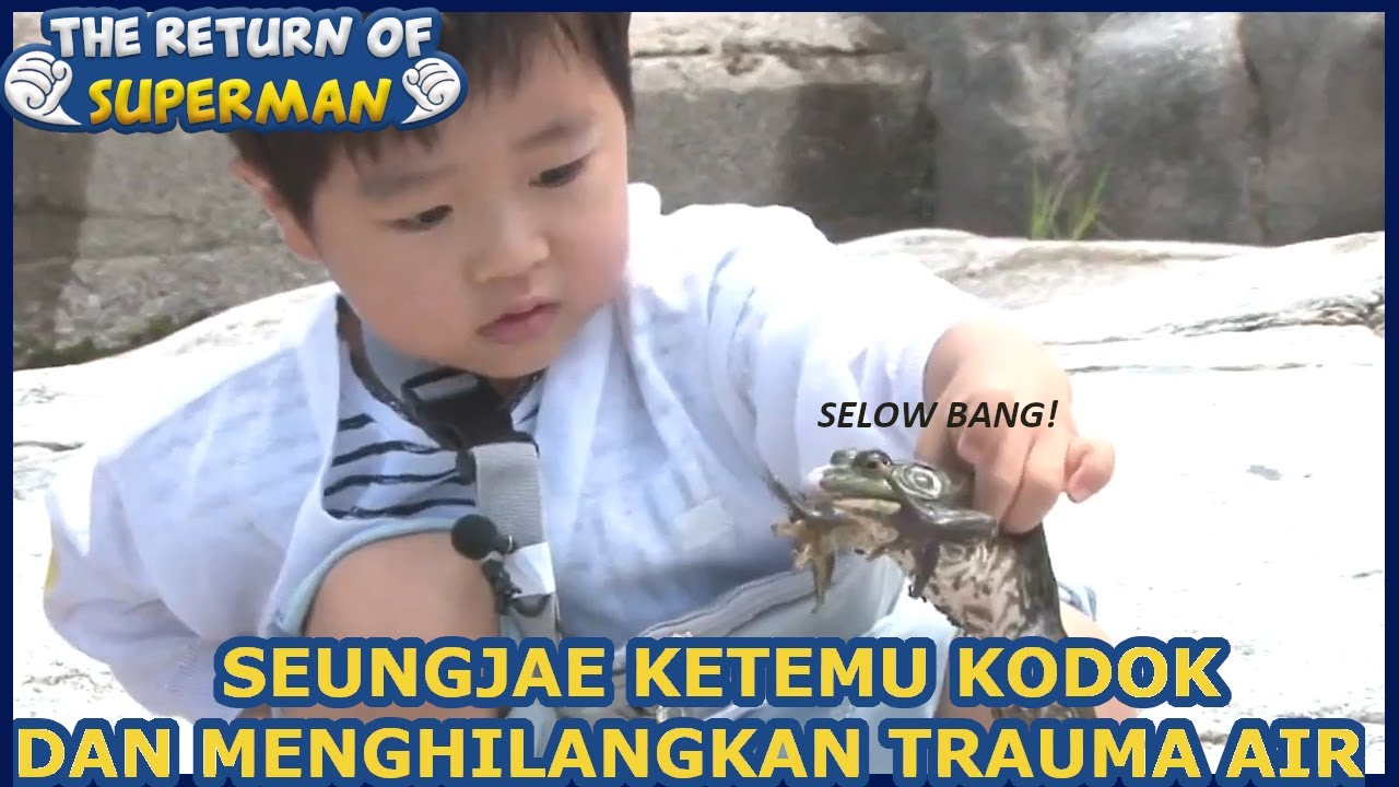 Seungjae Ketemu Kodok! |Nostalgia Superman|SUB INDO| 170618 Siaran KBS WORLD TV|