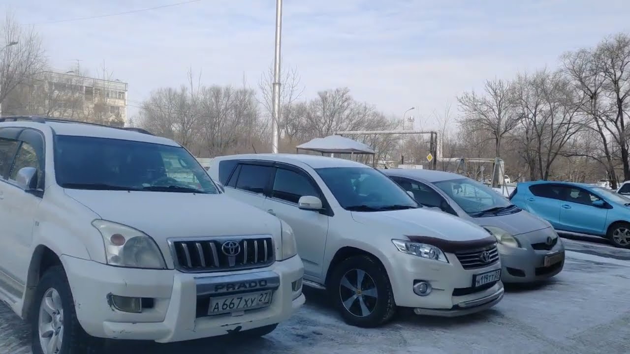 540. Хабаровск. Берёзовка.17.01.26.