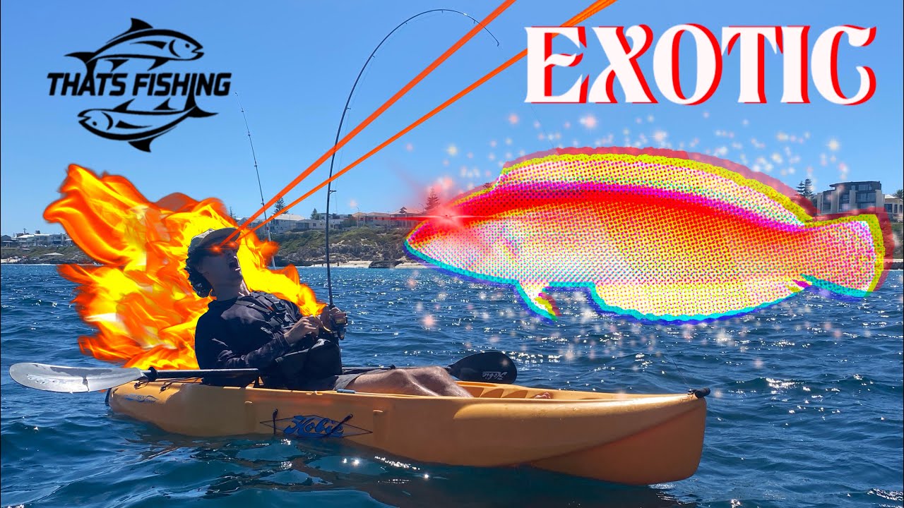 This fishing spot was LOADED with WEIRD FISH! (2 days fishing and diving)