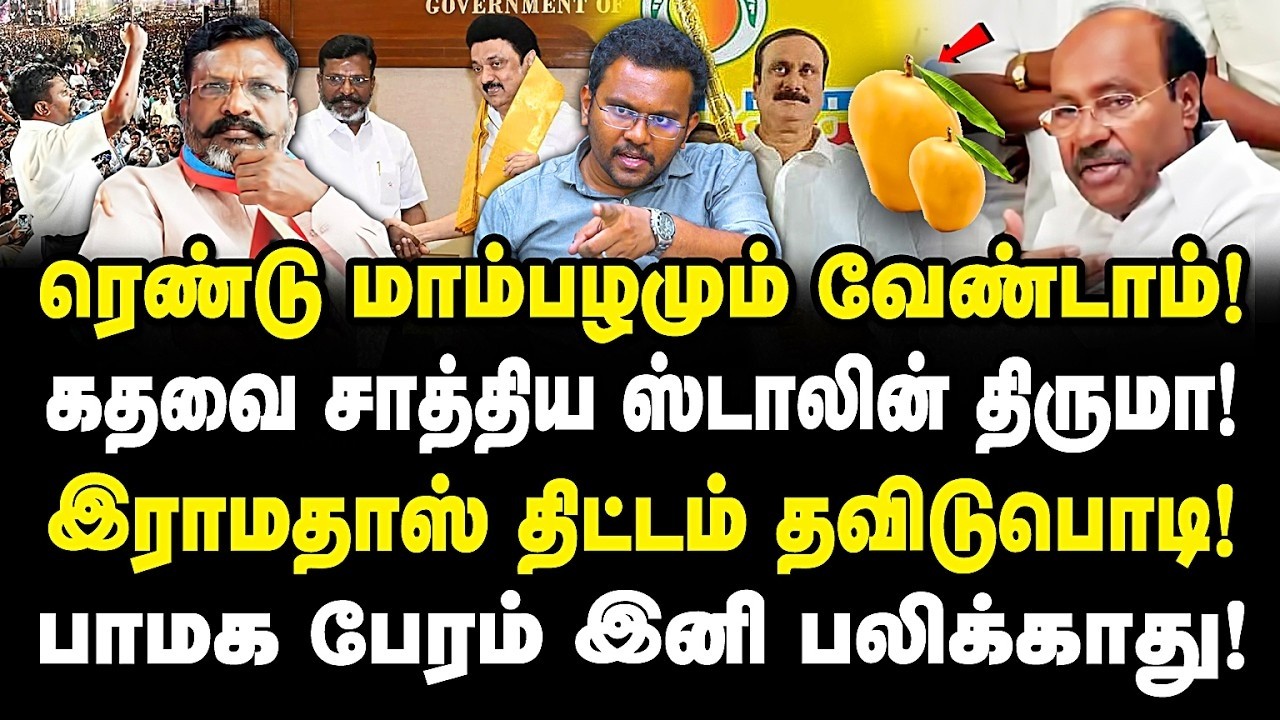 2 மாம்பழமும் வேண்டாம்! கதவை சாத்திய ஸ்டாலின் திருமா! ராமதாஸ் திட்டம் தவிடுபோடு! castro | Dmk | Vck |