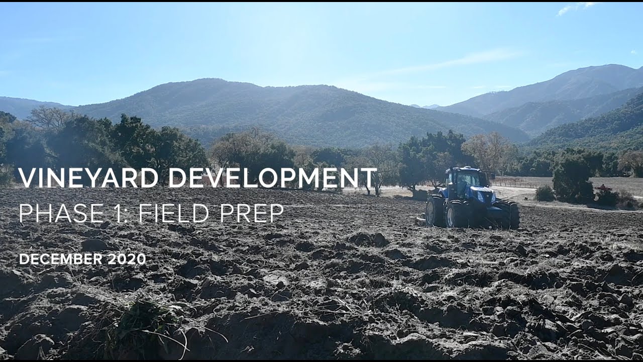 Vineyard Development Phase 1: Field Prep