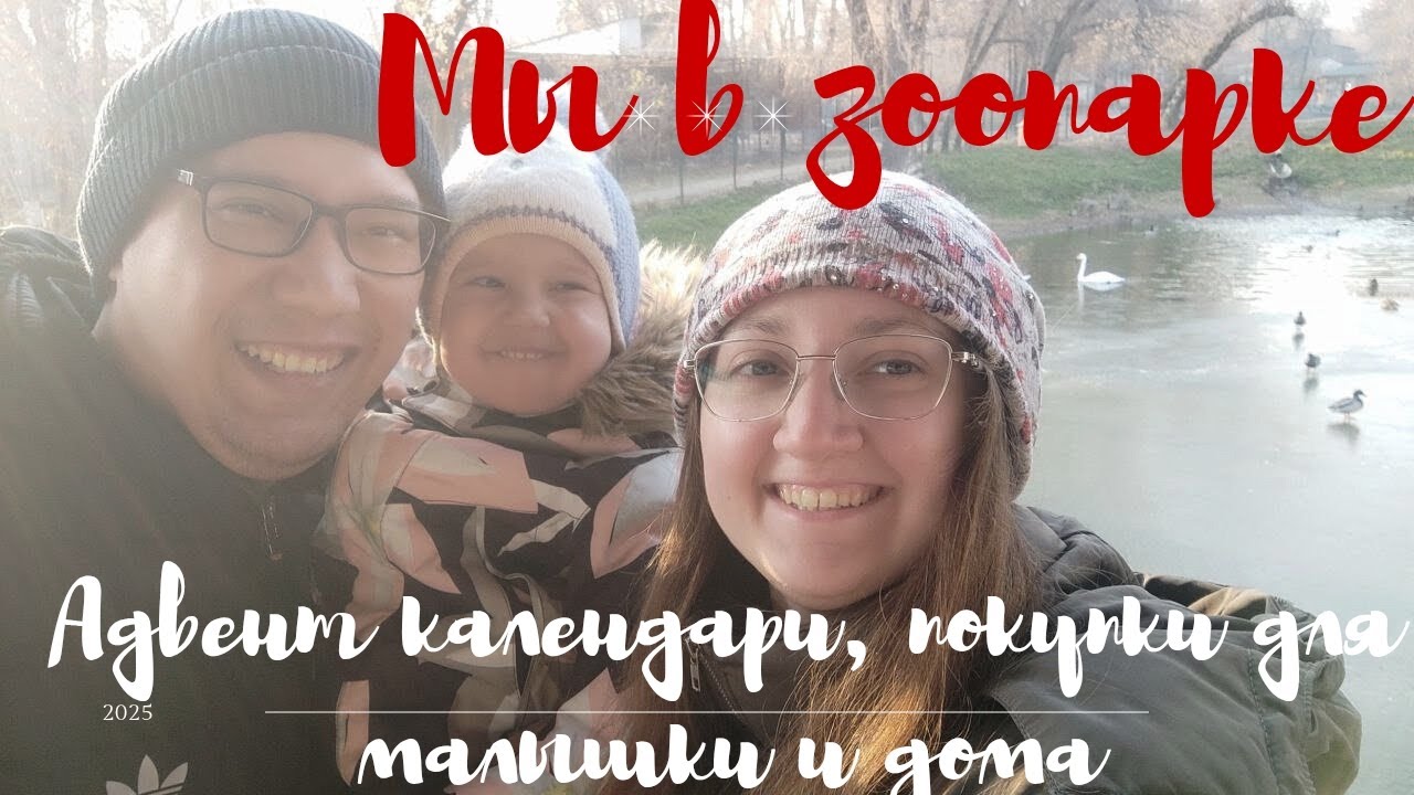 ЗООПАРК. АДВЕНТ КАЛЕНДАРИ. ПОКУПКИ ДЛЯ ЛУНЫ И ДОМА 