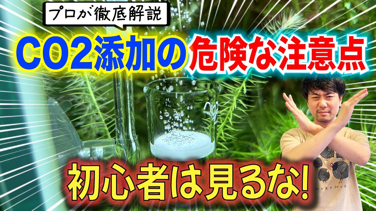 水草水槽におすすめのCO2添加量！水草や魚が中毒になる注意点！〜アクアリウムin地球67