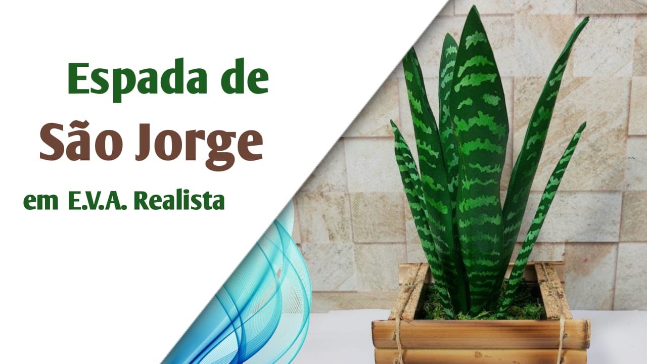 402 - Espada de São Jorge - Prof Jociara Santos