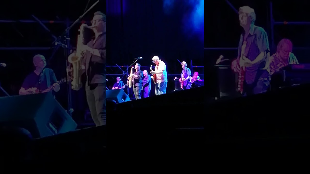 Mark Knopfler live Stupinigi 