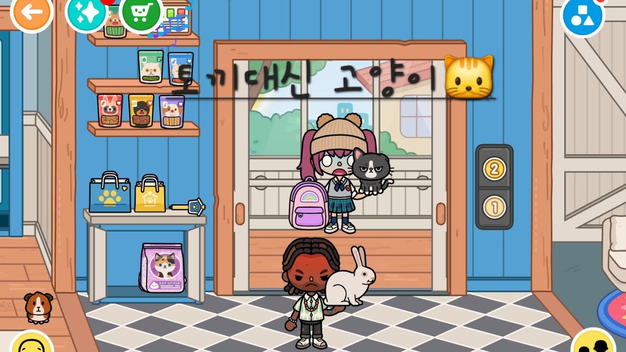 토끼대신 고양이