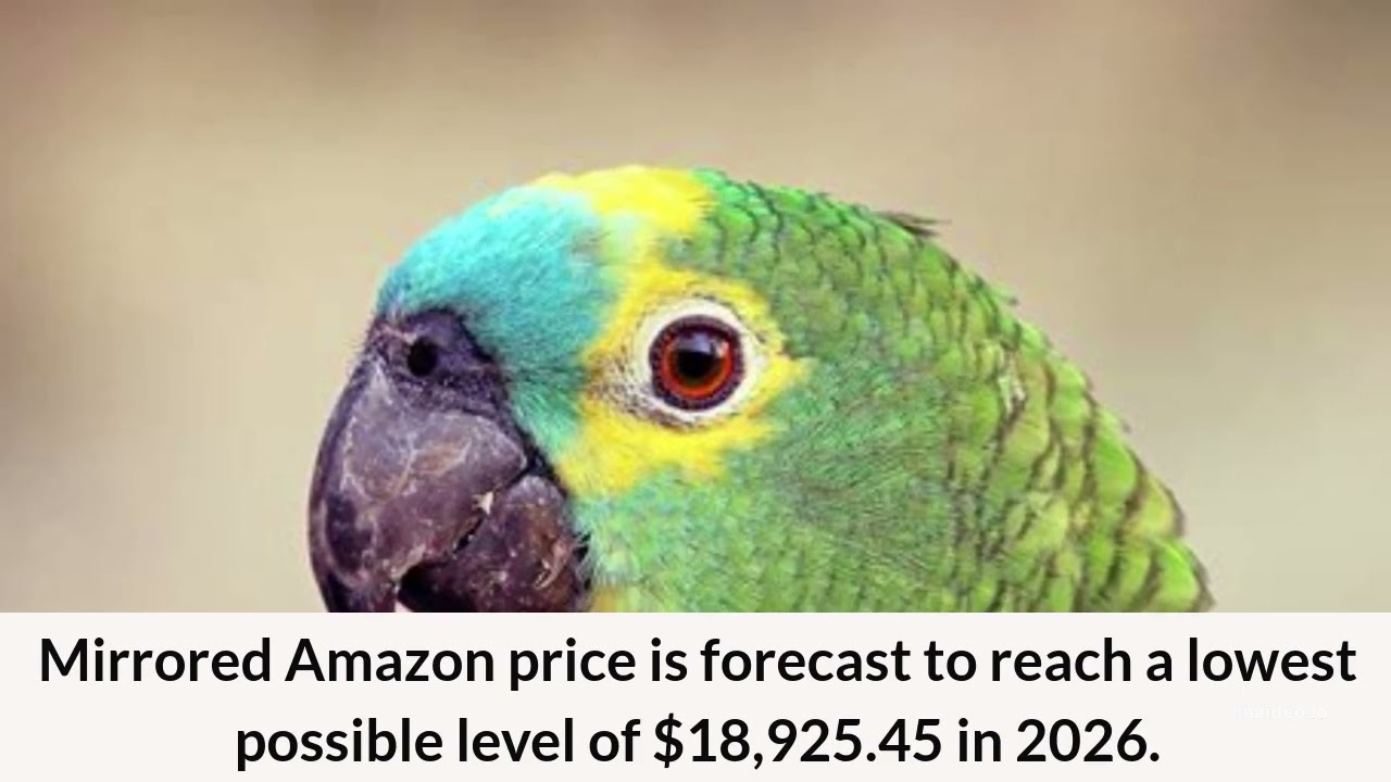 Mirrored Amazon Price Prediction 2022, 2025, 2030  mAMZN Price Forecast  Cryptocurrency Price Predic