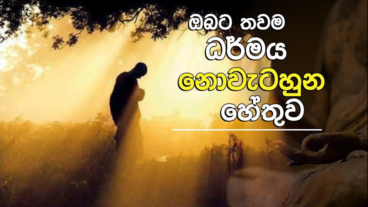 ඔබට තවම ධර්මය නොවැටහුන හේතුව | Niwan Dakimu
