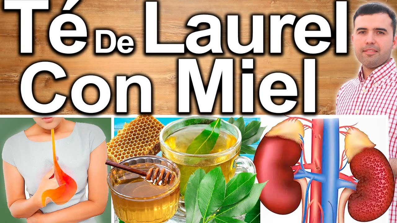 TÉ DE HOJA DE LAUREL CON MIEL EN AYUNAS - Para Que Sirve, Beneficios Y Contraindicaciones