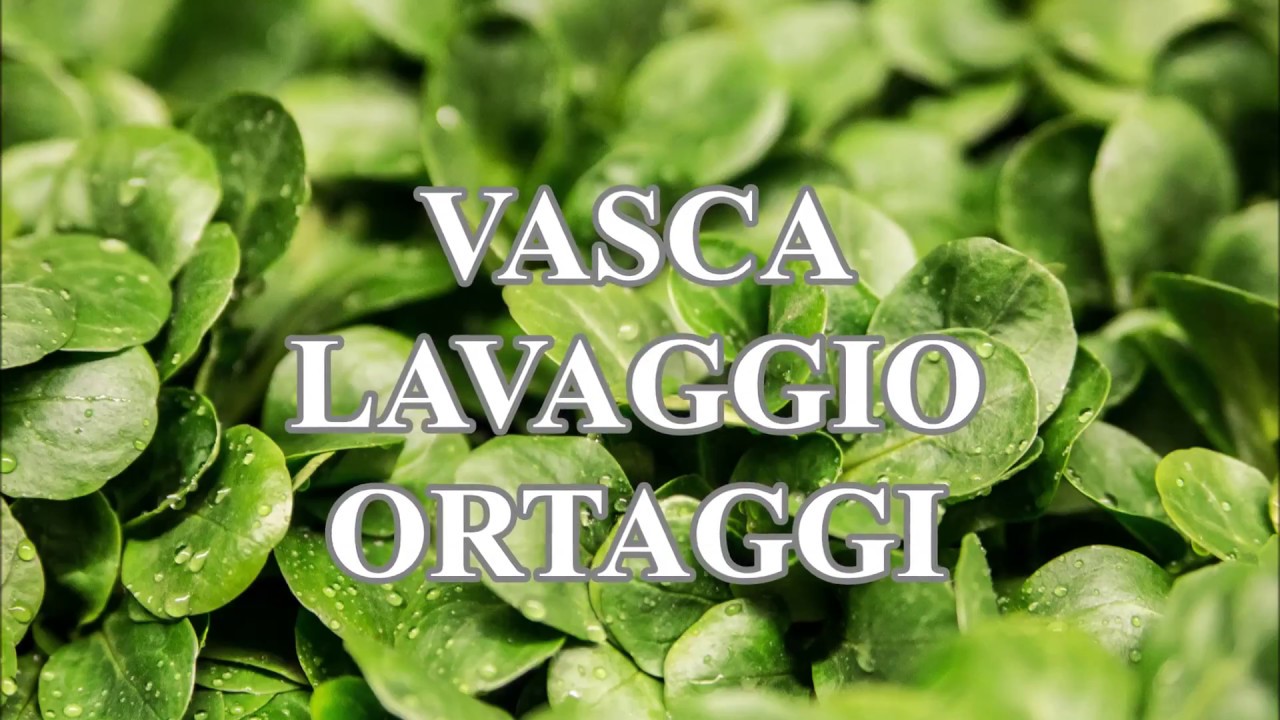 Vasca lavaggio ortofrutta con nastro di estrazione | Favrin Srl
