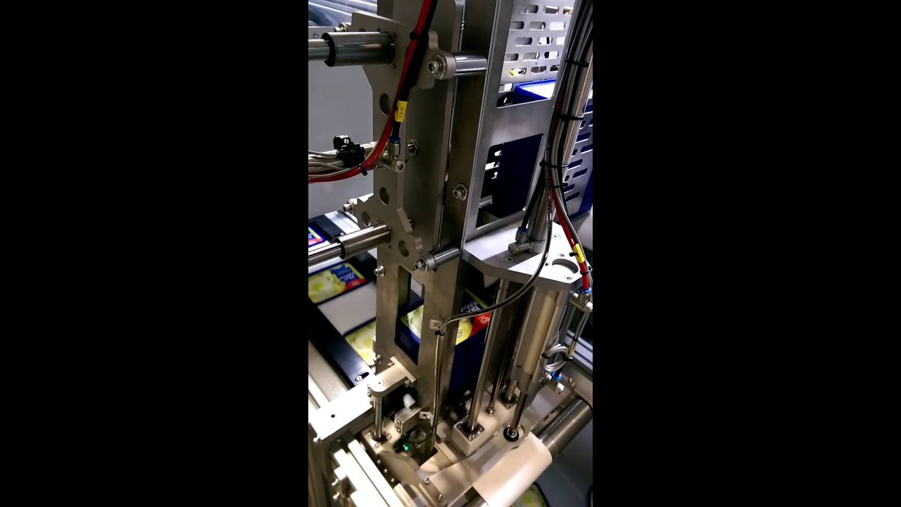 6 CAVITY IML ROBOT +CAMERA INSPECTION SYSTEM
