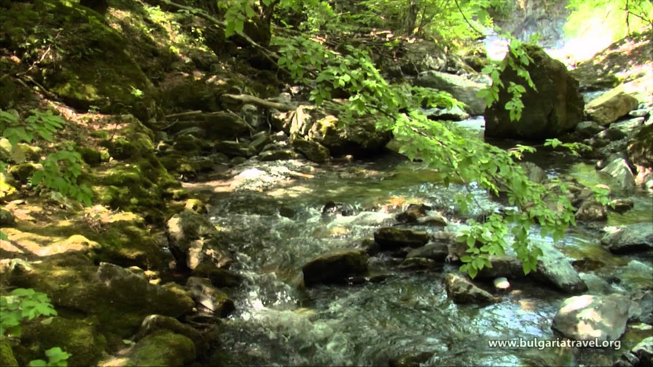 National Park 
