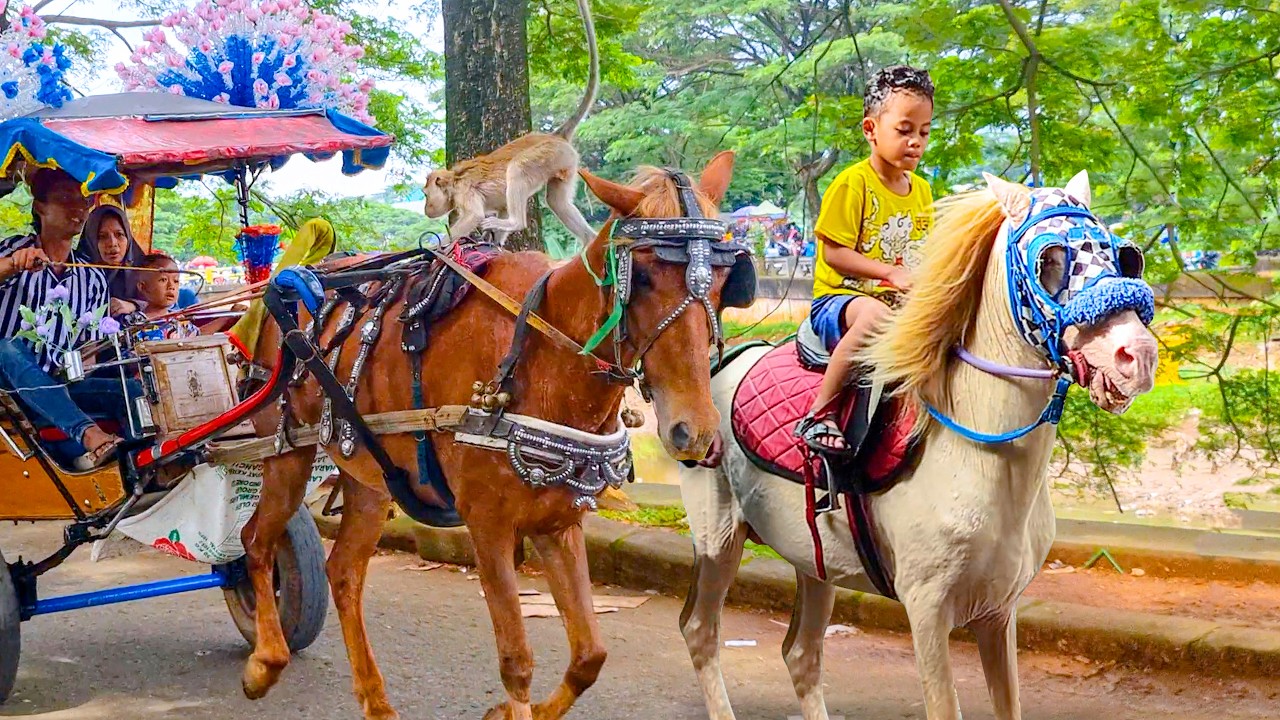 NAIK DELMAN ISTIMEWA 🐎 LAGU ANAK ANAK - KUDA DELMAN